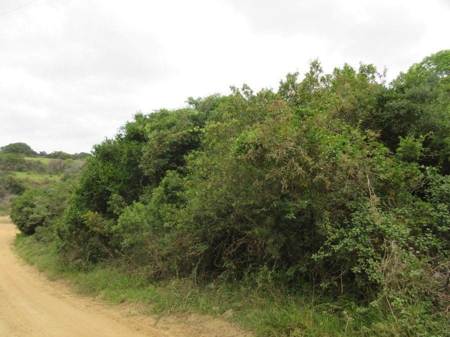 0 Bedroom Property for Sale in Bathurst Eastern Cape